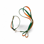 Load image into Gallery viewer, 10mm Silky Dual Color Leash & Collar Set with Bell for Pets