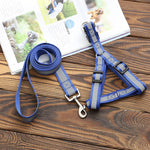 Load image into Gallery viewer, 10mm Leash & Harness for Pets Reflecting
