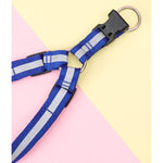 Load image into Gallery viewer, 10mm Leash & Harness for Pets Reflecting