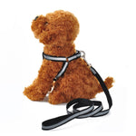 Load image into Gallery viewer, 10mm Leash & Harness for Pets Reflecting