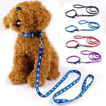 Load image into Gallery viewer, 15mm-Leash & Collar-Paw Print with Bell