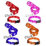 Load image into Gallery viewer, 15mm-Leash & Collar-Paw Print with Bell