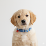 Load image into Gallery viewer, SmartyPet Adjustable Pet Collar with Safety Bell (Color May Vary)
