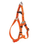 Load image into Gallery viewer, Leash & Harness Set for Pets – Soft Nylon Printed, Durable & Comfortable (Color May Vary)