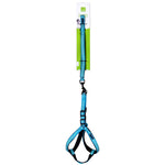 Load image into Gallery viewer, Nunbell Reflective Padded Dog Leash & Harness Set