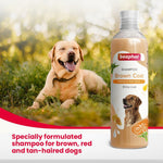 Load image into Gallery viewer, Beaphar Shampoo Brown Coat Honey & Aloe Vera - 250ml