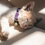 Load image into Gallery viewer, Smarty Pet Colorful Jingle Bells for Cat & Dog Collars (Pack of 2)