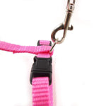 Load image into Gallery viewer, Cat Harness & Leash - 10mm Plain Nylon (Color May Vary)