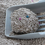 Load image into Gallery viewer, Cat Litter-5 Kg - Fragrance (Lemon)