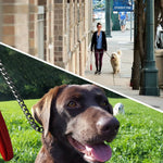 Load image into Gallery viewer, Heavy-Duty Grinded Iron Dog Chain