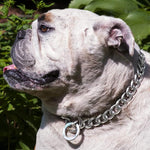Load image into Gallery viewer, Heavy-Duty Chrome-Plated Dog Grinded Choke Chain