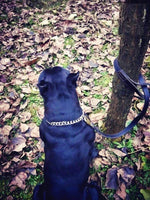 Load image into Gallery viewer, Heavy-Duty Stainless Steel Choke Chain Dog Training Collar