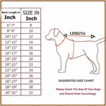 Load image into Gallery viewer, SmartyPet Winter Dog Coat