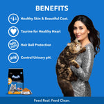 Load image into Gallery viewer, Drools Adult Cat Dry Food, Real Chicken & Egg - 1.2kg