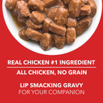 Load image into Gallery viewer, Drools Adult Wet Dog Food – Real Chicken & Chicken Liver Chunks in Gravy (15g x 12 Pouches)