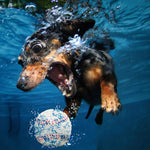Load image into Gallery viewer, EE Toys-Latex Base Ball for Dogs