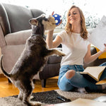 Load image into Gallery viewer, EE Toys-Latex Football-Blue & White for Dogs
