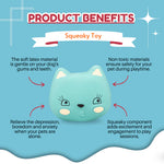 Load image into Gallery viewer, EE Toys-Latex Squeaky Miss Cat Dog Toy