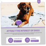 Load image into Gallery viewer, EE Toys-Latex Squeaky Grape Dog Toy
