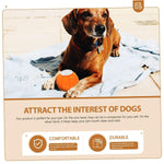 Load image into Gallery viewer, EE Toys-Latex Squeaky Pumpkin Dog Toy