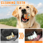 Load image into Gallery viewer, EE Toys-POP Ball Dog Toy