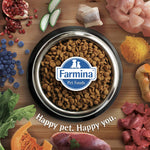 Load image into Gallery viewer, Farmina N&D Pumpkin Lamb & Blueberry Grain-Free Dry Puppy Food – Medium & Maxi Breeds - 2.5Kg