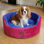 Load image into Gallery viewer, SmartyPet Luxury Foam Basket Dog Bed (Color & Print May Vary)