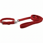 Load image into Gallery viewer, Premium Polypropylene Dog Collar & Leash Set