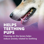 Load image into Gallery viewer, Gnawlers Puppy Snack Mini Bones – Training Treats for Puppies (Assorted Flavors, 250g)