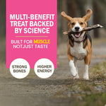 Load image into Gallery viewer, Gnawlers Calcium Milk Sticks for Dogs - 270g