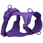 Load image into Gallery viewer, Holy Paws No-Pull Dog Harness – Adjustable, Breathable Mesh Comfort Vest