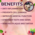 Load image into Gallery viewer, Happy Tummy Berries Daily Dental Chews – Small (21 Pieces)