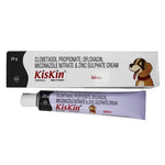 Load image into Gallery viewer, Intas Kiskin Skin Cream - 20gm