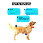 Load image into Gallery viewer, SmartyPet Nano Water-Repellent Dog Winter Jacket with Fur Collar