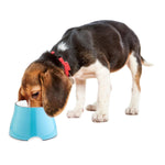 Load image into Gallery viewer, Melamine Elevated Bowl