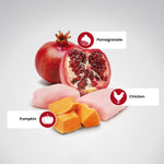 Load image into Gallery viewer, Farmina N&D Pumpkin Chicken & Pomegranate Grain Free Adult Mini Dog Dry Food - 2.5kg