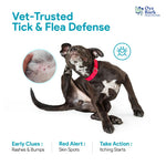 Load image into Gallery viewer, Oye Bark Wagwash Pet Shampoo – Organic, Tick & Flea Defense (200ml)