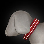 Load image into Gallery viewer, Petaholic Athletica Series Dog Collar