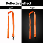 Load image into Gallery viewer, Petaholic Athletica Series Dog Leash