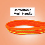 Load image into Gallery viewer, Petaholic Athletica Series Dog Leash
