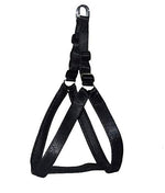 Load image into Gallery viewer, Plain Nylon Padded Leash & Harness Set for Dogs (Color May Vary)