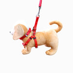Load image into Gallery viewer, Plain Nylon Padded Leash & Harness Set for Dogs (Color May Vary)