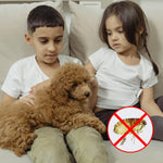 Load image into Gallery viewer, Plastic Flat Handle Flea Comb for Pet