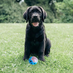 Load image into Gallery viewer, Playerz Crackling Ball-A123