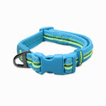 Load image into Gallery viewer, Petaholic Athletica Series Dog Collar