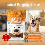 Load image into Gallery viewer, Happy Tummy Pumpkin Dental Chews – Large(7 Pieces, 150gm)