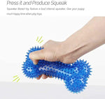 Load image into Gallery viewer, Spike Bone