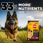 Load image into Gallery viewer, Pedigree Pro Active Adult Large Breed