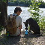 Load image into Gallery viewer, Aqua Dog Portable Water Bottle 500ml