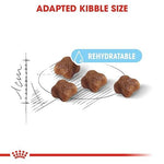 Load image into Gallery viewer, Royal Canin Mother & Babycat